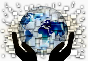 米兰体育app下载安装-中超球队年度控场人数分布与效果评估，中超球队人数限制